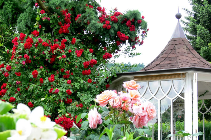 Englischer Gartenpavillon mit Spitzdach